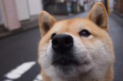 开云体育在线-特奥彻底打爆防线，南非压哨绝杀巴西，非洲风暴席卷桑巴军团