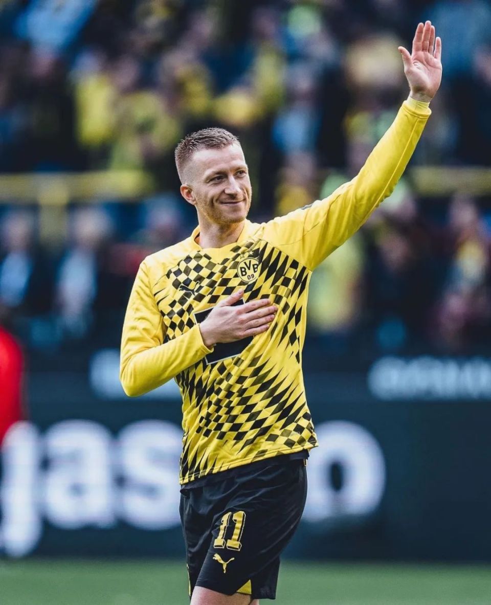 哥廷根青年军要展示实力，击败美因茨的简单介绍