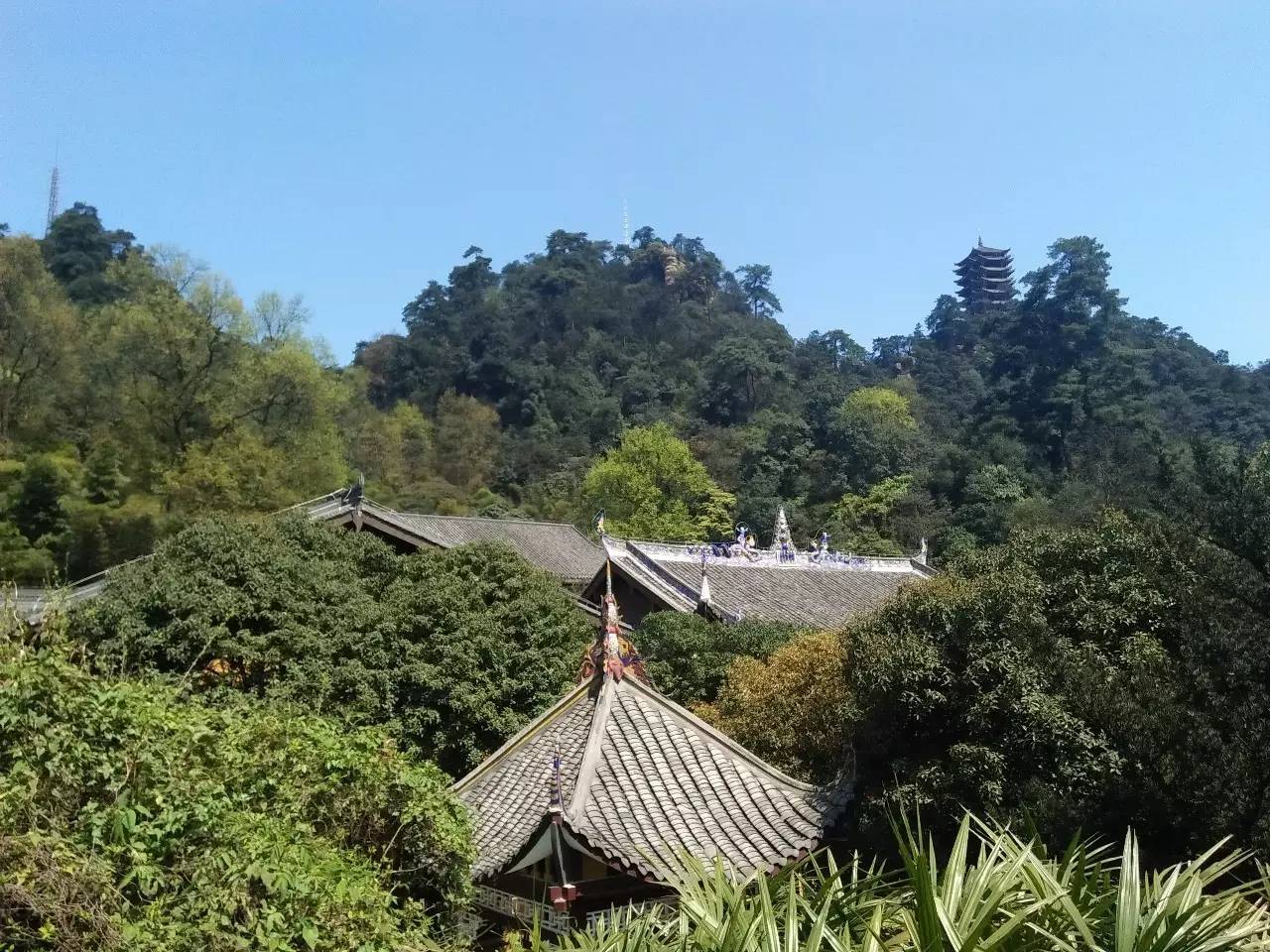 山言玛村铜重迎定主场自战胜,保不败的简单介绍 山言玛村铜重迎定主场自战胜,保不败的简单介绍