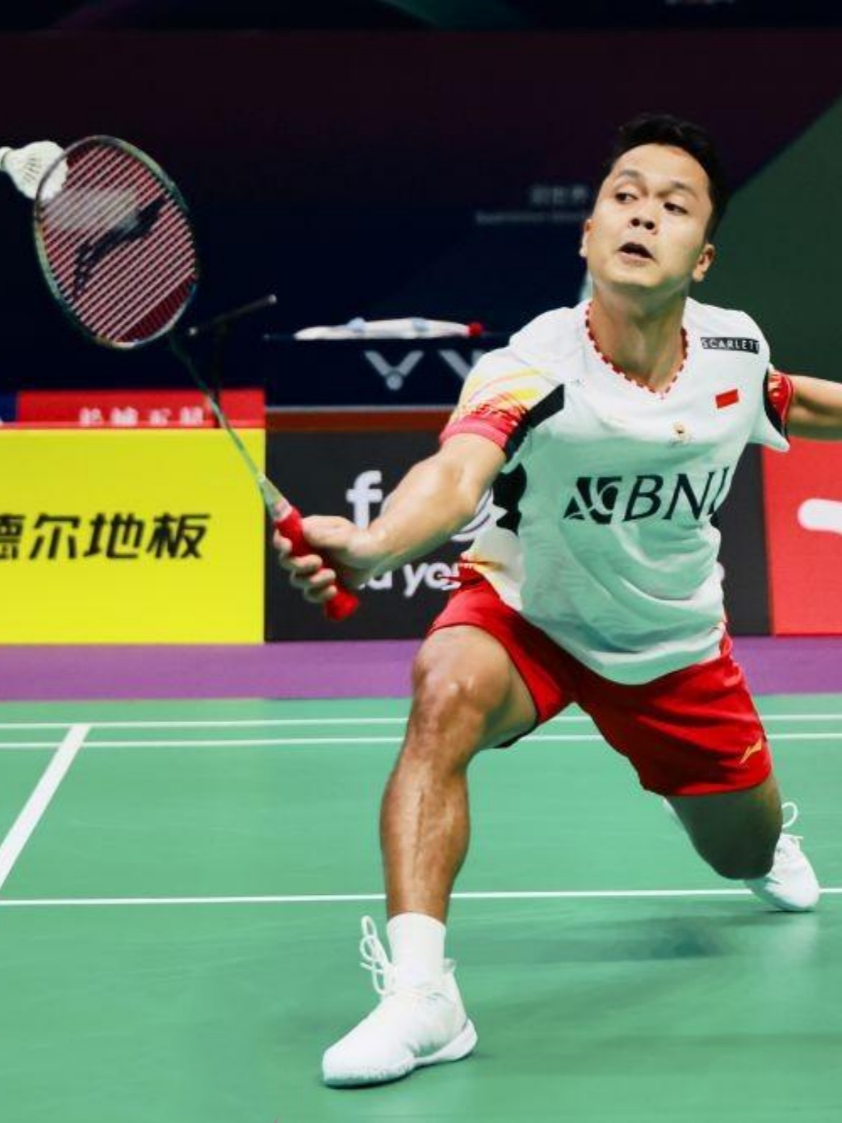 包含印尼羽毛球队横扫英格兰羽毛球队,陶菲克打破历史纪录的词条 包含印尼羽毛球队横扫英格兰羽毛球队,陶菲克打破历史纪录的词条