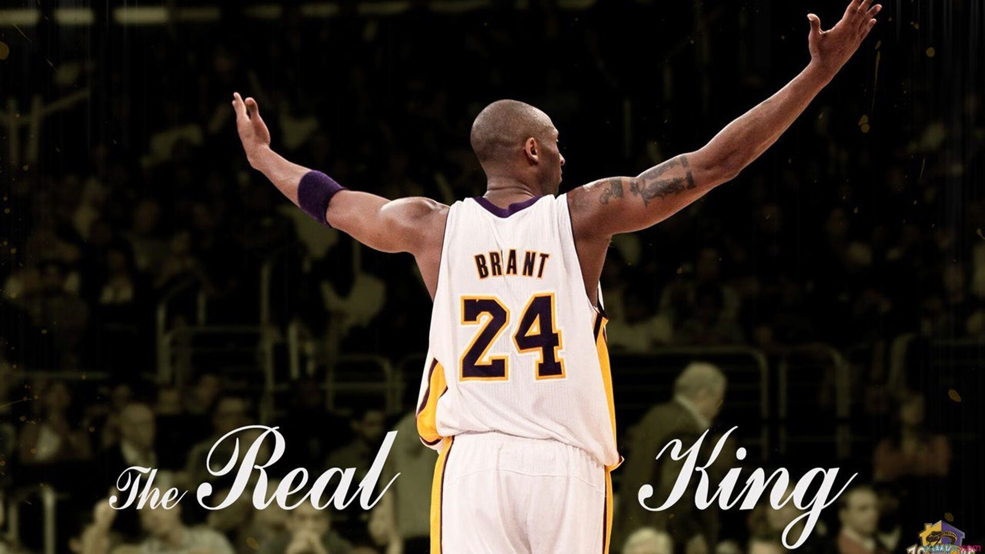 山西烽火遇灰熊,戈贝尔一柱擎天,主宰赛场风云