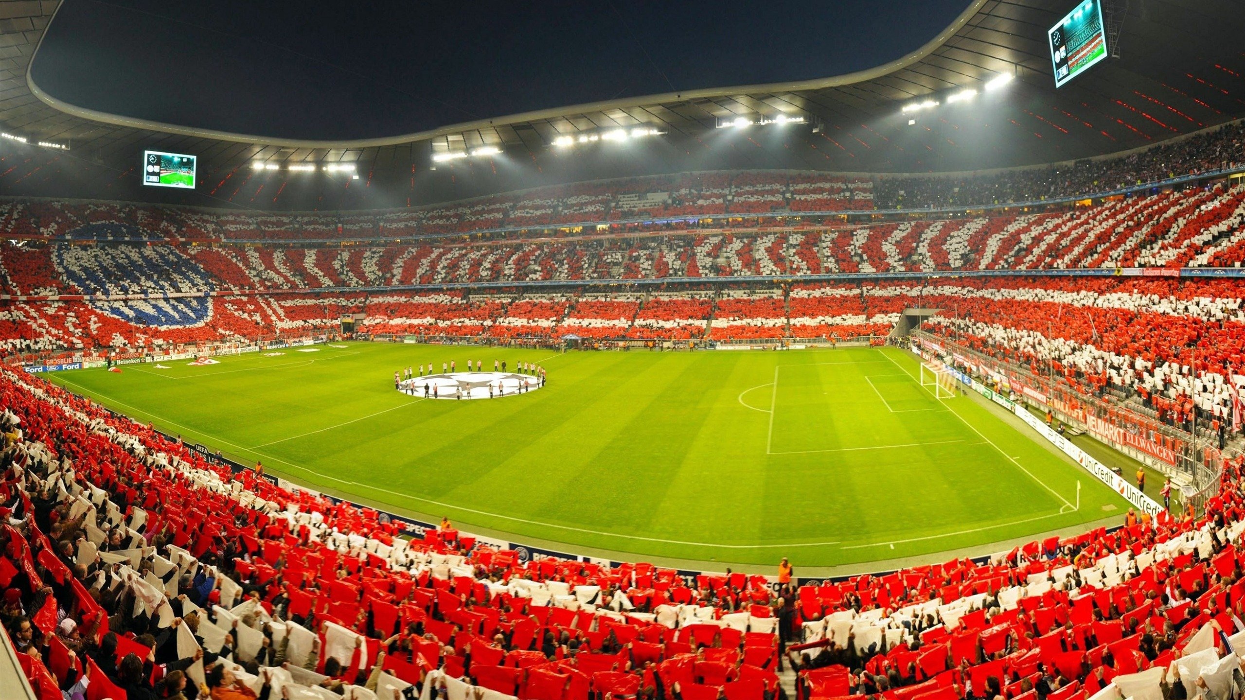 世界杯之夜，保罗的自我救赎